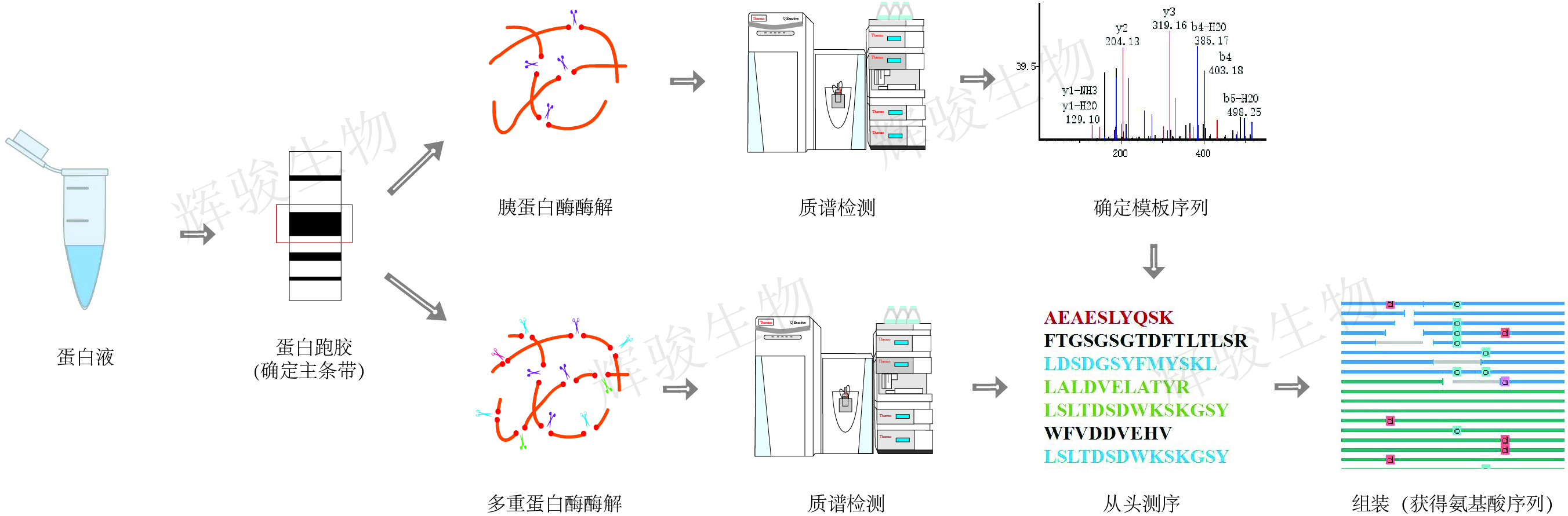 蛋白從頭測(cè)序,蛋白測(cè)序,蛋白測(cè)序價(jià)格 蛋白從頭測(cè)序,蛋白測(cè)序,蛋白測(cè)序價(jià)格